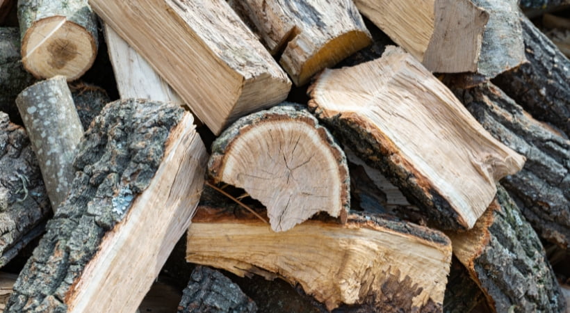 Mejor leña para chimeneas - Leñas y carbones Barbero