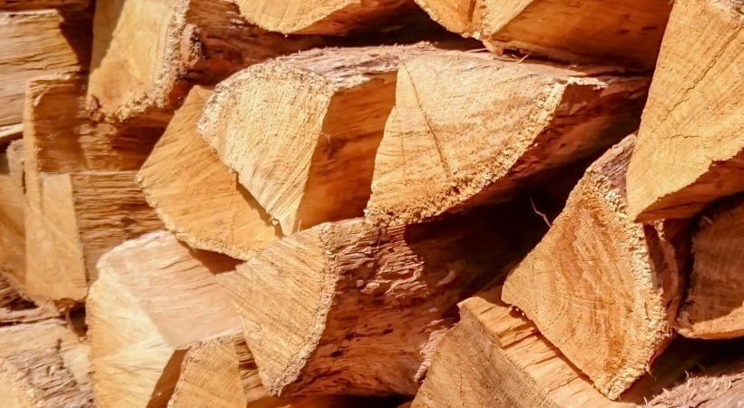 Mejor leña para chimeneas - Leñas y carbones Barbero