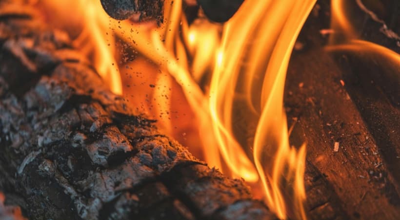 Leña seca vs leña húmeda: diferencias, problemas y cómo reconocerlas