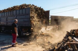 Leña seca vs leña húmeda: diferencias, problemas y cómo reconocerlas