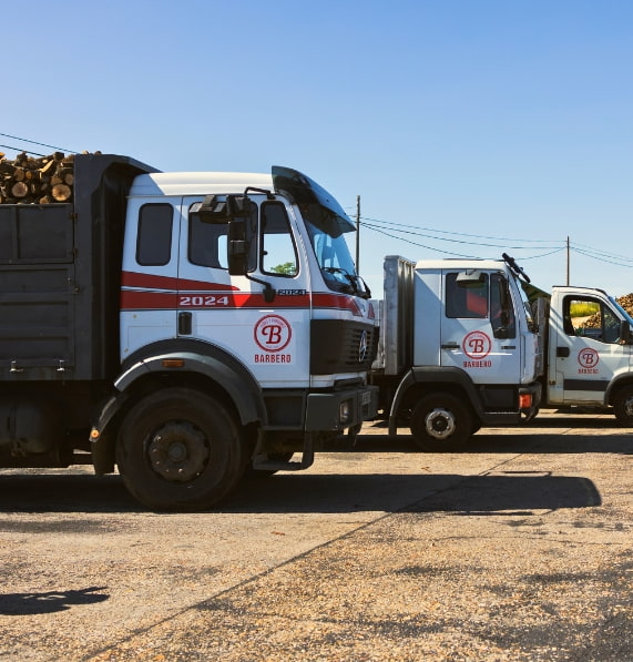 Logistica Leñas y Carbones Barbero